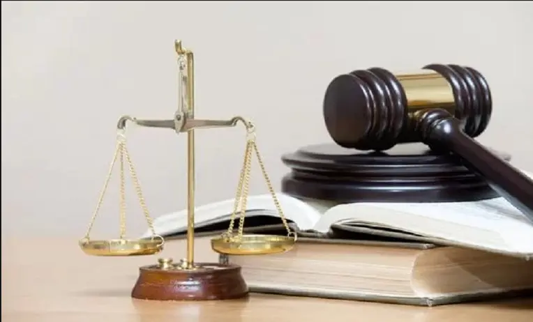 أهمية وظائف المحامين في القضايا المصرية