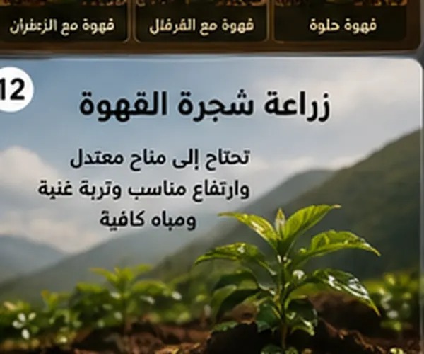 تعرف على أشهر أنواع القهوة السعودية وطرق تحضيرها