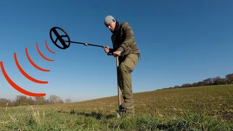 Exploring the Best Metal Detectors for Gold Hunting