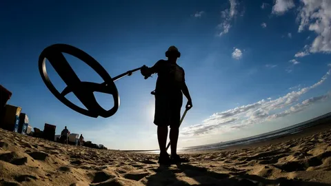 In Pursuit of Treasure: The Thrill of Gold Hunting