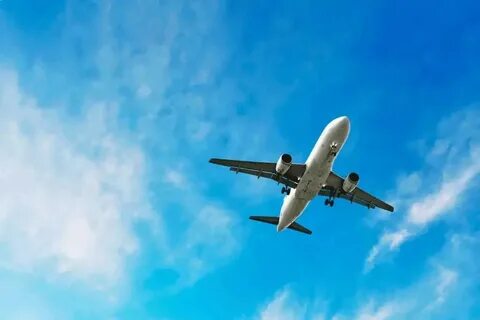 أهمية دليل شركات السياحة في السعودية لتنظيم الرحلات السياحية