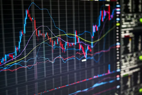 نصائح مهمة للمبتدئين في سوق الفوركس لتجنب الخسائر
