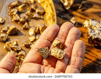 أنواع اجهزة الكشف عن الكنوز وطرق استخدامها بفعالية