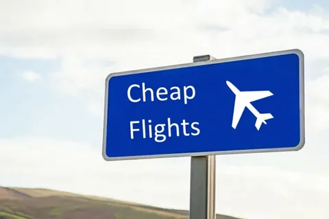 Comparing the Best Online Platforms for Purchasing Airline Tickets