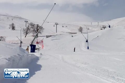 الابتكار والتكنولوجيا في شركات السياحة العالمية