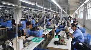 Sustainable Solutions: Organic Cotton Tote Bag Manufacturer in Egypt