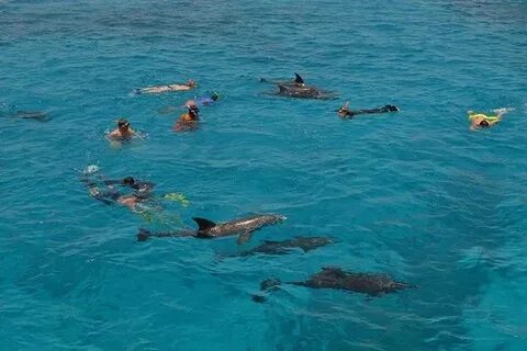 Unforgettable Experiences: Private Boat Trip Hurghada