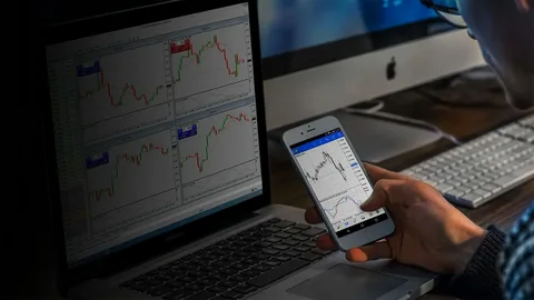 كيف يؤثر توقيت السوق العالمي على تقلبات العملات؟