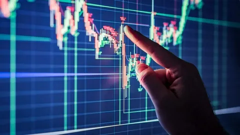 كيف تؤثر قرارات البنوك المركزية على تحركات العملات؟
