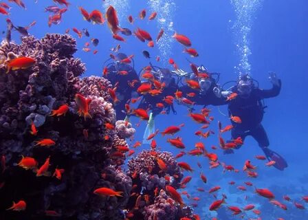 Hurghada Travel Services: Making the Most of Your Vacation
