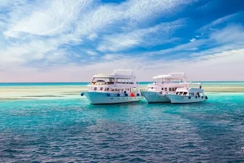 Why You Need to Experience Hurghada Tours at Least Once