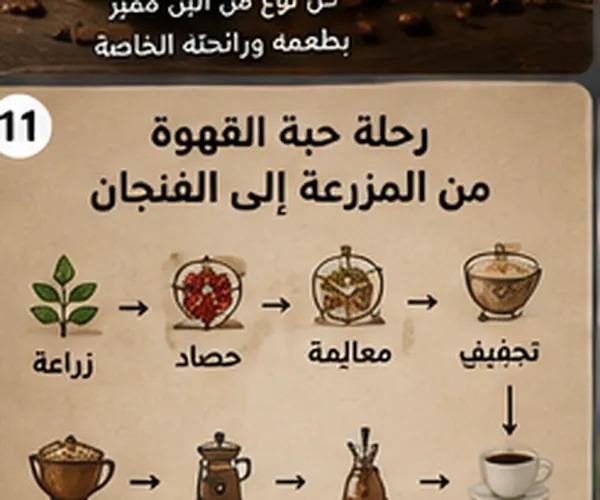 البن الروبوستا والبن الأرابيكا: فوارق في نكهة وجودة