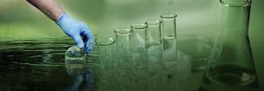 Choosing the Right ISO 14001 Consultants in Egypt for Your Business