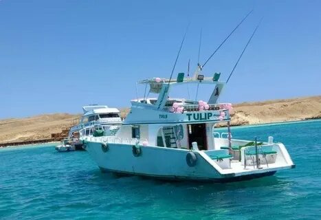 Discover the Best Hurghada Snorkeling Packages for Your Next Trip