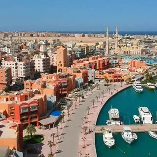 Discover the Best Time of Year for Dolphin Watching in Hurghada