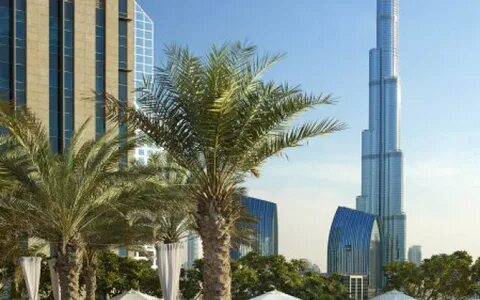 قضاء يوم ممتع على شاطئ فنادق الجميرا بيتش دبي