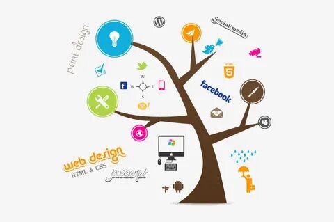 أساسيات تصميم مواقع الويب الناجحة