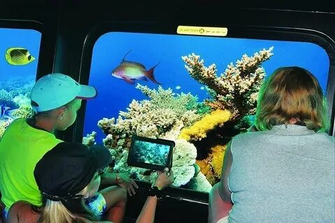 Unforgettable Adventures: Hurghada Sea Safari Tours