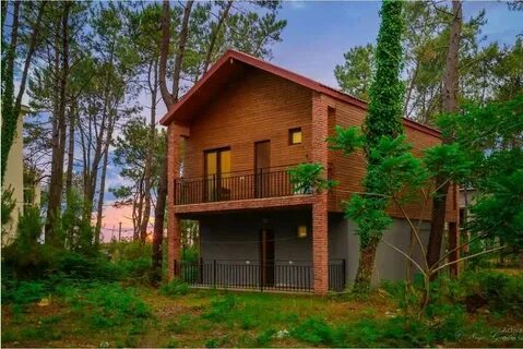 The Top 10 Cozy Cottage Rentals in Georgia