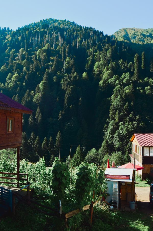 كيف يساهم eco house borjomi cottage في توفير الطاقة والموارد؟