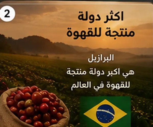 أسماء القهوة السعودية وتنوعها الإقليمي