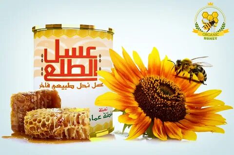 فوائد عسل البرسيم للرجال: تقوية جهاز المناعة ومحاربة الأمراض