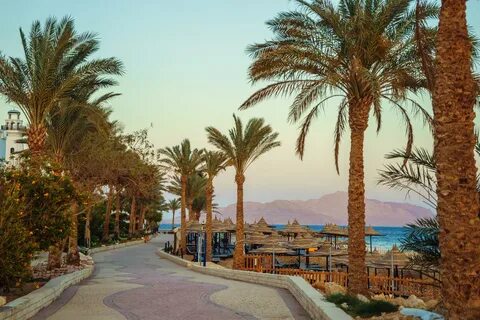 How Much Does It Cost to Take a Taxi from Hurghada Airport?