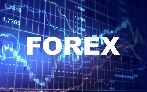 فوائد التعلم المستمر وتطوير المهارات في تداول العملات