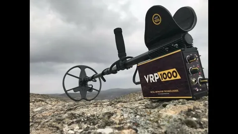 Exploring the Rich History of Gold Fields in California