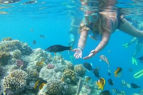 Sailing Through Paradise: Orange Bay Island Tour Adventure