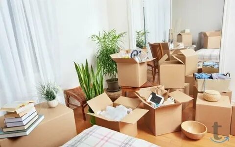 نقل الأجهزة الرياضية: الأساليب والنصائح المهمة نقل الأجهزة الرياضية: الأساليب والنصائح المهمة