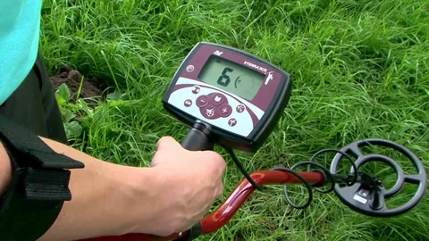 Gold Rush 101: Essential Tips for Beginner Prospectors