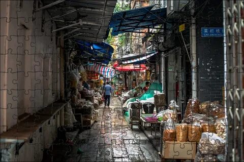 الترفيه والمغامرة: أفضل الوجهات للعائلات الباحثة عن التشويق