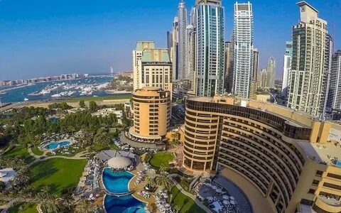 رحلة سياحية إلى العين: اكتشاف عجائب الطبيعة في واحة البرمائية