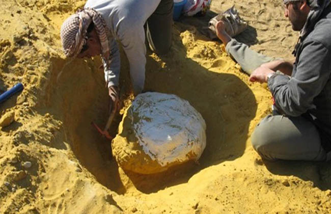 التكنولوجيا الحديثة: كيف تساعد التقنيات الحديثة في جهاز كاشف للذهب؟