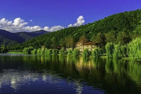 تذوق التميز في المطبخ الماليزي