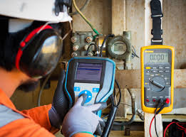 Ensuring Accuracy: The Role of Calibration and Validation in Egypt