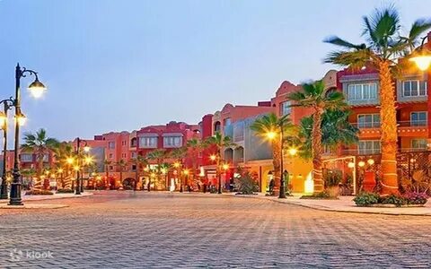 An Unforgettable Adventure: Swimming with Dolphins in Hurghada