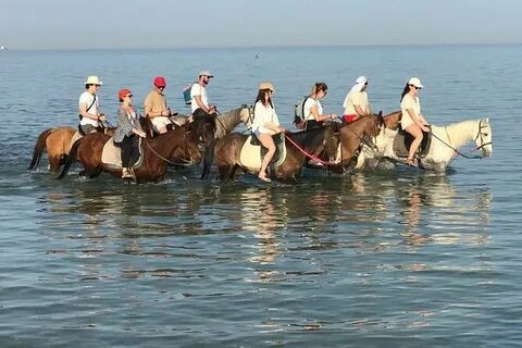 Explore Hidden Gems with Hurghada Local Guide Tours