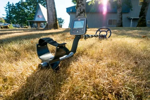 Gold Detector Price: Finding the Best Deals