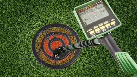 The Top 10 Metal Detectors for Every Budget