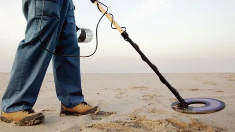 The Ultimate Guide to Gold Detector Price