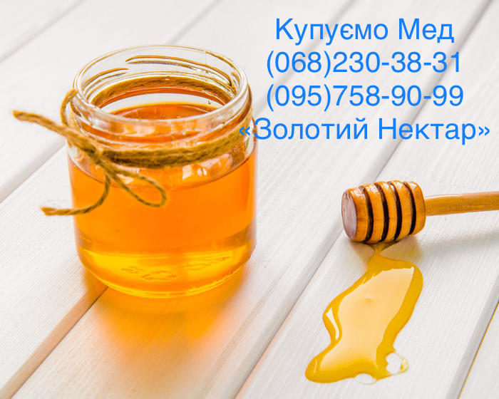طرق تقديم عسل بالمكسرات بشكل جذاب