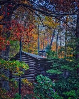 Unwind and Relax: Beach Vacation Cottages in Coastal Georgia