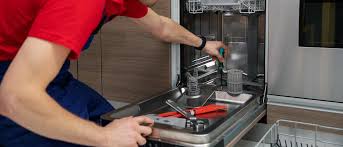 نصائح للحفاظ على غسالة الصحون في سكاكا بشكل جيد