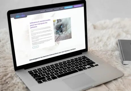 ضرورة توافر المحتوى الجيد والمتنوع على المواقع العربية