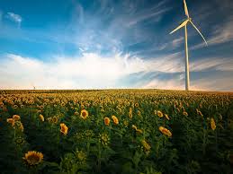 LEED Consulting Services: Guiding Projects in Egypt Towards Green Certification