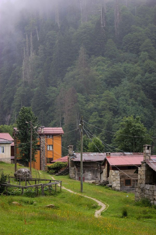 روعة كوخ الأميرة: زيارة لحياة الأميرات الساحرة