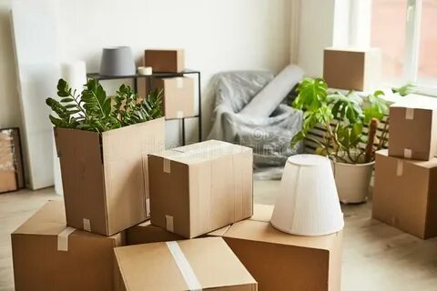 أهمية استخدام خدمات نقل الأجهزة الرياضية لسلامة المعدات
