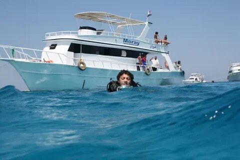 Cultural Experiences: Top Hurghada Day Trips to Luxor and Aswan